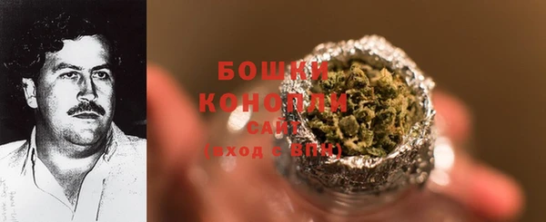 ешки Гусиноозёрск