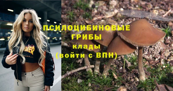 мескалин Гусев