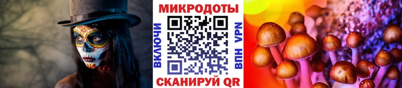 Галлюциногенные грибы GOLDEN TEACHER  OMG рабочий сайт  Славгород 